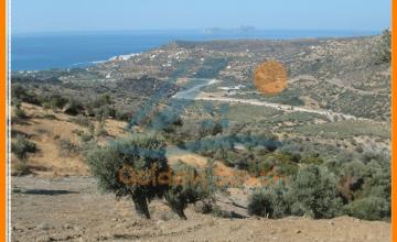 Großes Grundstück von 12.000 qm mit Panoramablick auf das Meer und das Dorf von Agia Galini - Agia Galini